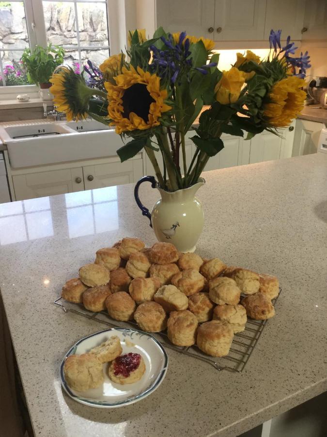 Crammond House Bed & Breakfast Ramelton Bagian luar foto
